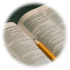 Discovery Bible Study